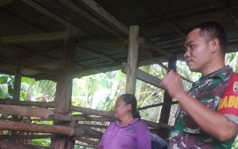 Upaya Pencegahan PMK, Ini yang Dilakukan Babinsa Koramil 01