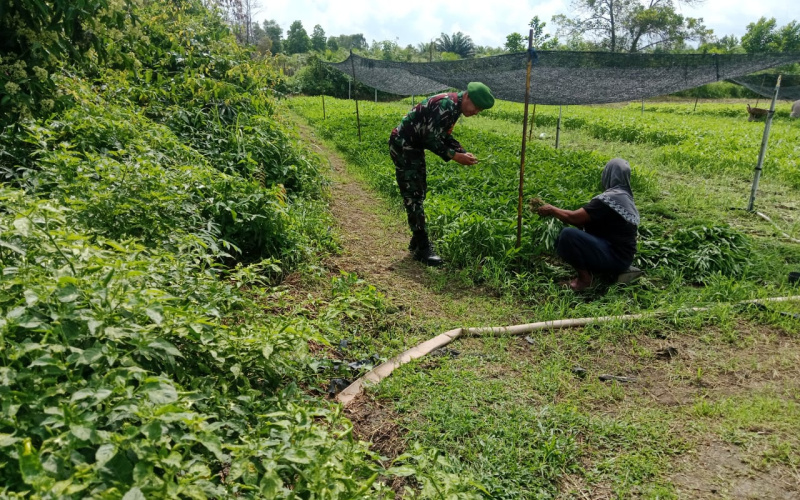 Patroli dan Karya Nyata oleh Babinsa Koramil 01 Kepada Warga