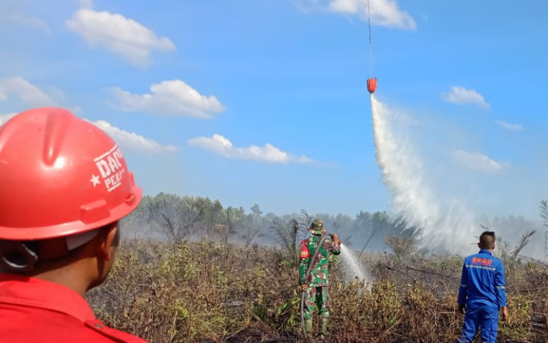Tim Gabungan Berhasil Padamkan Karhutla di Sungai Raya Inhu