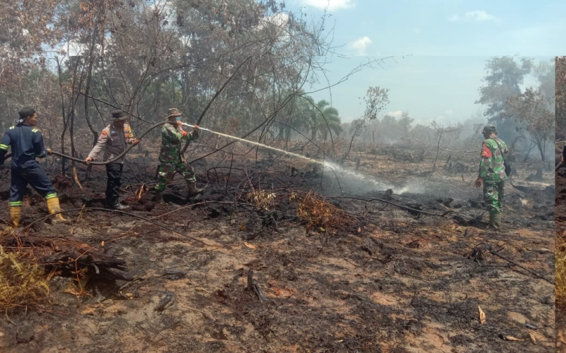 Koramil 02 dan Tim Gabungan Lakukan Pendinginan Karhutla di Medang Kampai