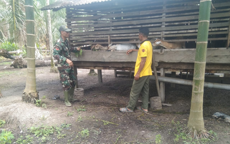 Koptu Erwan Lakukan Sosialisasi di Peternakan, Ini Tujuannya