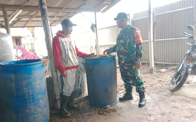 Babinsa Koramil 01 Sambang Peternakan Sapi, Edukasi Kesehatan