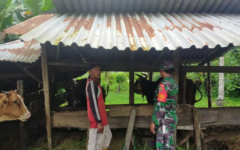 Koramil 03 Sei Sembilan Sosialisasi di Peternakan, ini Penjelasannya