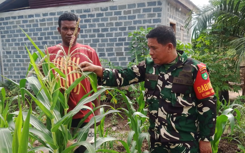 Babinsa Dumai Timur Sosialisasikan Bahaya Karhutla dan Banjir Sambil Dukung Ketahanan Pangan