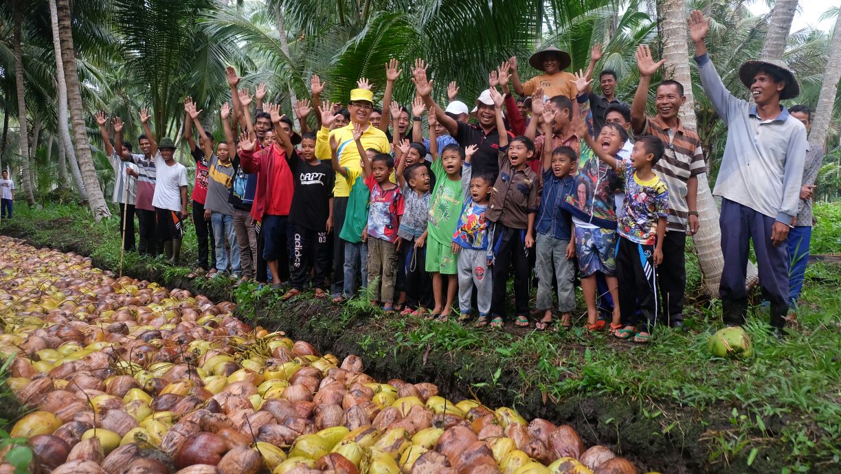 Bupati Inhil Yakini Program Penyelamatan Kebun Kelapa Rakyat Akan Berhasil Hingga Akhir Tahun