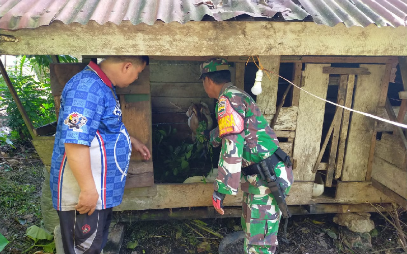 Koramil 03 Gencar Lakukan Giat PMK, Berikut Ulasannya