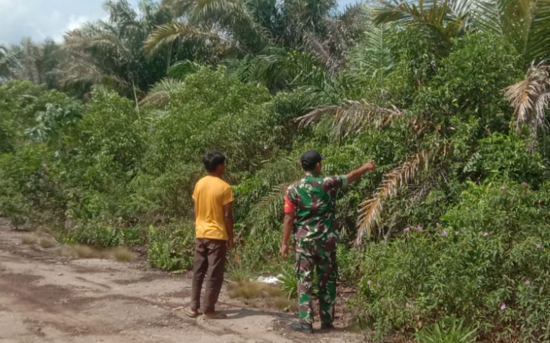 Babinsa Koramil Bukit Kapur Gencarkan Pencegahan Karhutla di Kelurahan Mundam
