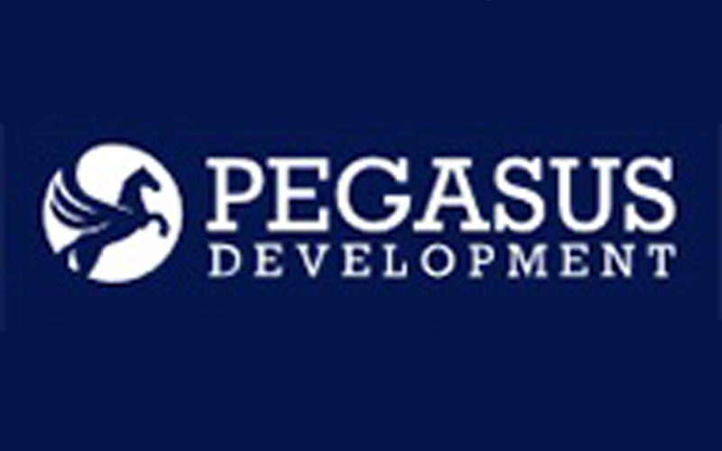 Pegasus Development AG: Partnership with UK-based Chemical Company Nuevo
