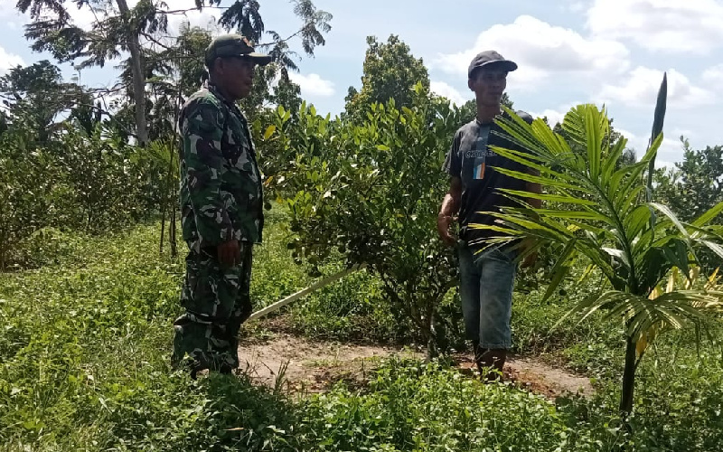 Babinsa Rimba Sekampung Cegah Karhutla, ini Lokasinya