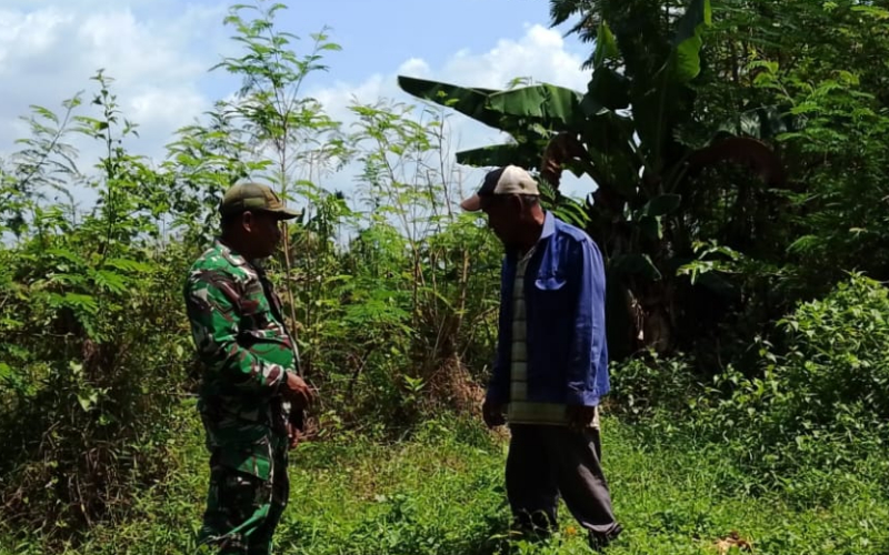 Babinsa Rimba Sekampung Sosialisasikan Larangan Bakar Lahan kepada Warga