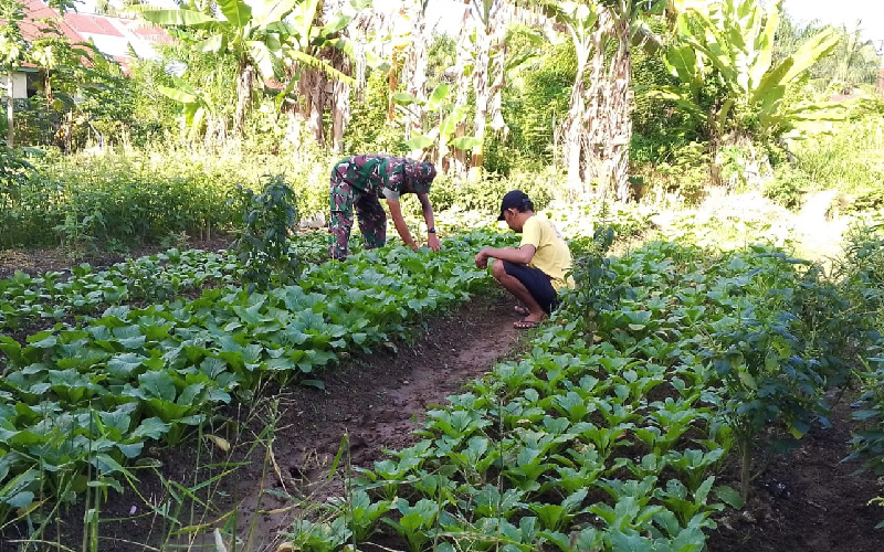 Sertu Nono Rutin Dampingi Petani, Beri Pendampingan dan Semangat