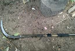 Egrek Tersangkut Kabel Listrik, Remaja di Siak Tewas Kesetrum 