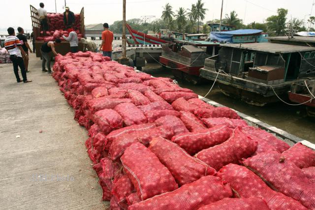 Bermodus Tumpukan Nanas, Bawang Merah Ilegal Lagi Masuk ke Dumai