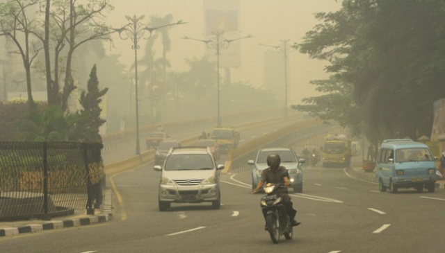 67 Titik Indikasi Kebakaran Hutan Terdeteksi di Sumatera