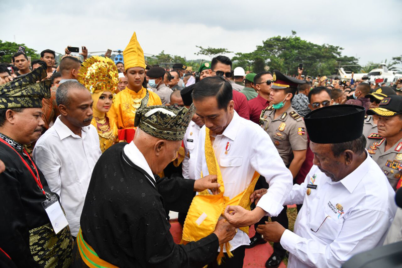 Jokowi Resmikan Peremajaan 25.423 Hektare Lahan Sawit untuk Rakyat di Rokan Hilir