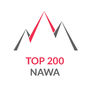 TOP200 NAWA - the Polish National Agency for Academic Exchange invites oustanding research talents to Poland