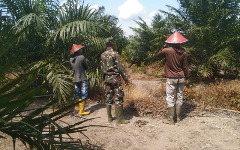 Babinsa Koptu Erwan Tingkatkan Kesadaran Masyarakat Terkait Bahaya Karhutla