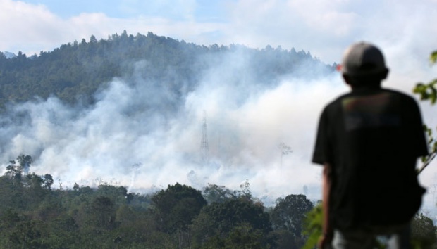Kebakaran Hutan Bisa Lebih Parah dari 2016, Ini Sebabnya