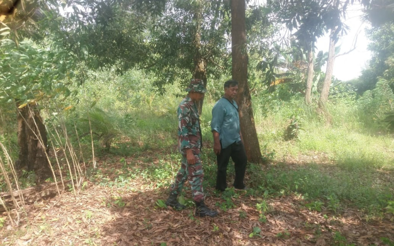 Babinsa Koramil 01/Dumai Sosialisasi Cegah Karhutla