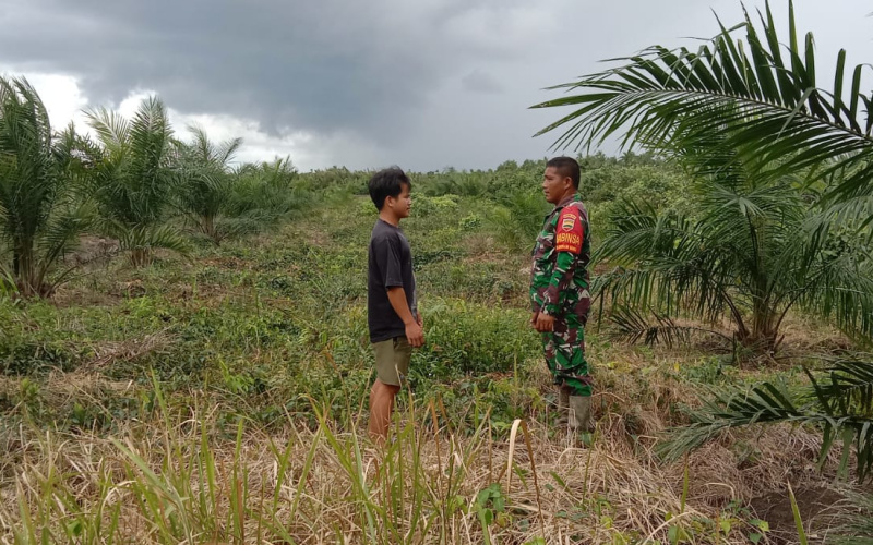 Sertu Jainal Arifin Jelaskan Sebab Pemicu Terjadinya Karhutla