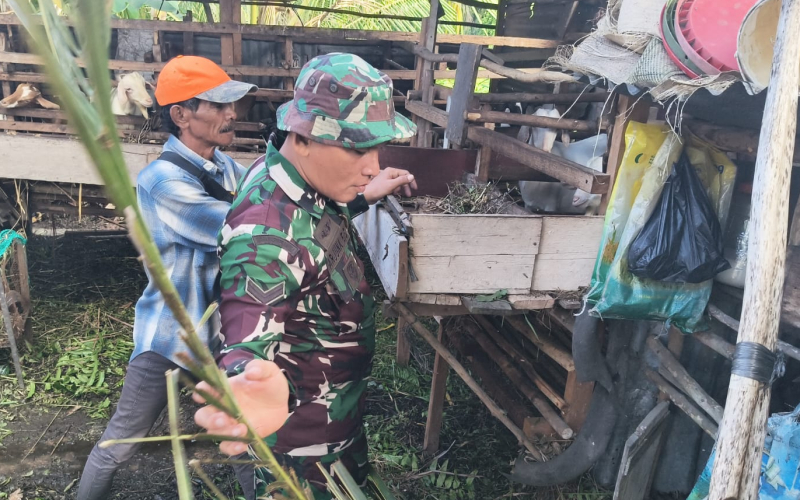Cegah PMK, Koramil 01 Dumai Lakukan Pendampingan dan Pemeriksaan Ternak Warga