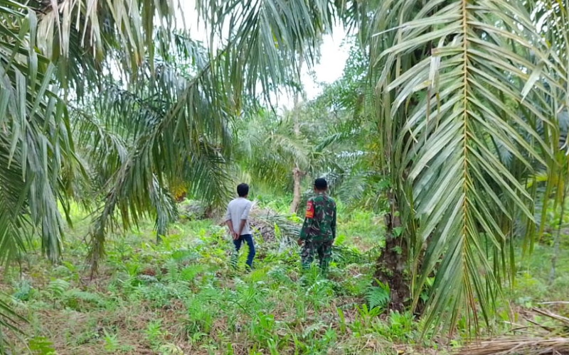 Babinsa Mundam Ingatkan Bahaya dan Sanksi Hukum Pembakaran Lahan