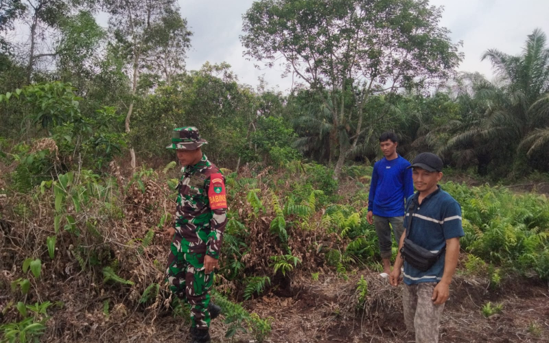TNI Aktif Sosialisasi Larangan Bakar Lahan di Dumai Barat