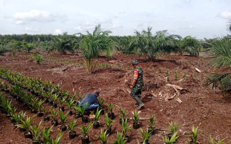 Cegah Karlahut, Babinsa Sungai Geniot Ajak Warga Tidak Buka Lahan dengan Cara Membakar
