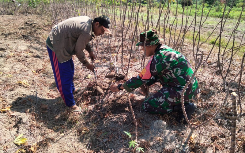 Babinsa STDI dari Koramil 01/Dumai Giat Pendampingan Karya Nyata