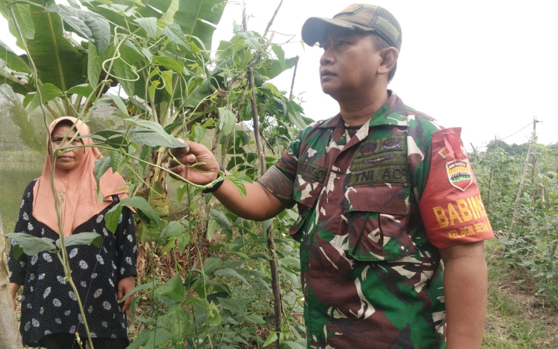 Karya Nyata dan Melakukan Pendampingan kepada Petani oleh Babinsa Koramil 02