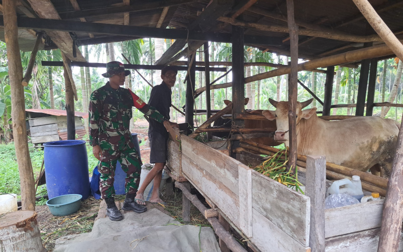 Babinsa Koramil 01 Dumai Lakukan Langkah Pencegahan Penyakit di Peternakan
