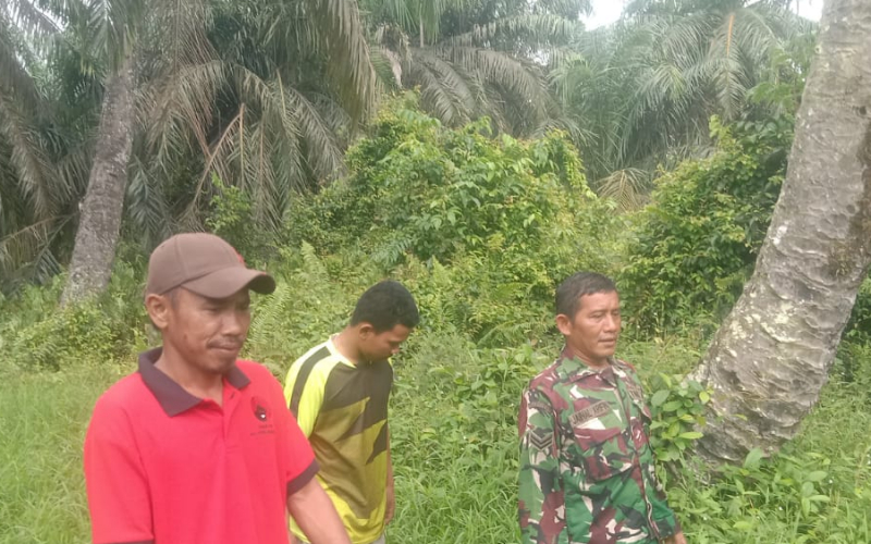 Babinsa Koramil 03 SS Pantau Lahan Gambut, Titik Api Nihil