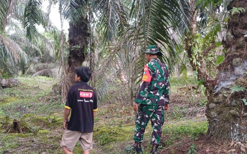 Wilayah Bukit Kapur Dipantau Ketat, Babinsa Pastikan Nihil Titik Api