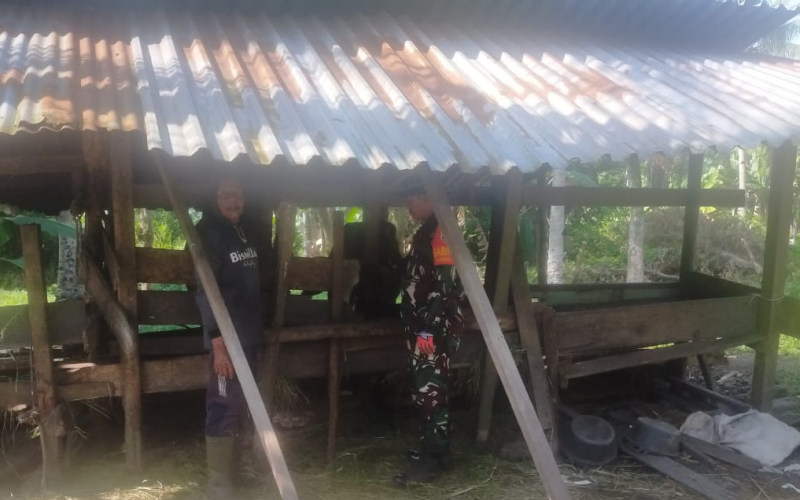 Koramil 03 Sambangi Peternak Lokal, Edukasi Cegah Wabah PMK