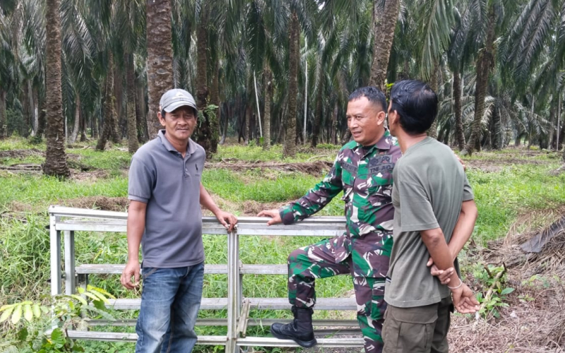 Patroli Karhutla di Basilam Baru, Serma Tarmin: Jangan Buka Lahan dengan Membakar