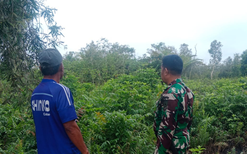 Cegah Karhutla, Babinsa Purnama Patroli Lahan dan Dampingi Pertanian Warga