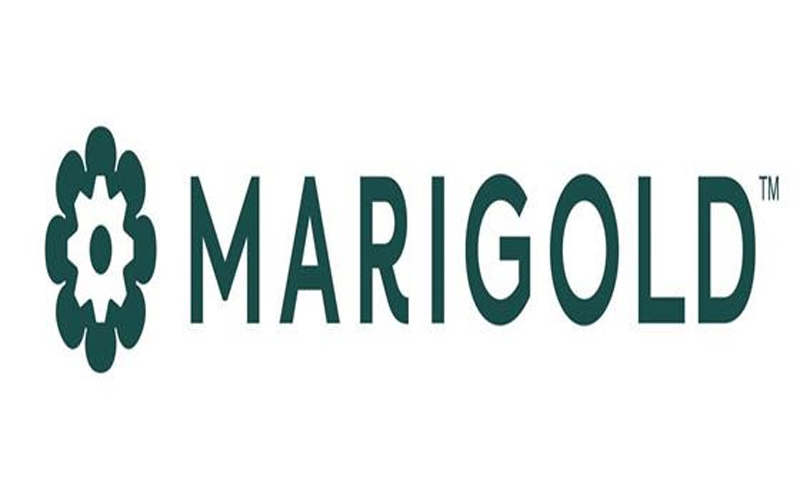 Introducing Marigold™: The First Martech Company to Deliver Relationship Marketing Solutions that Drive Lifetime Loyalty