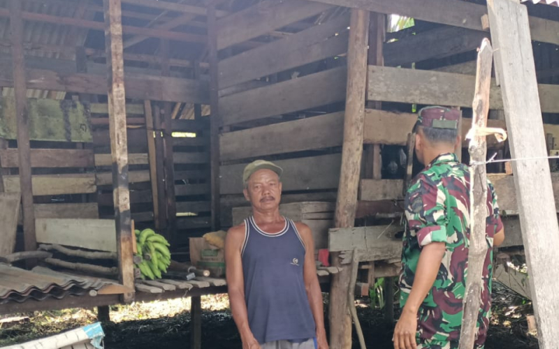 Babinsa dan Peternak Bersinergi Jaga Kesehatan Ternak dari Ancaman PMK