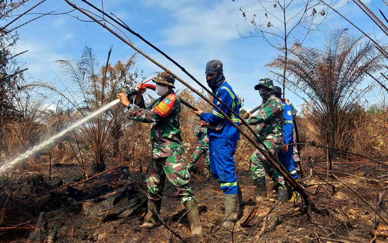 Empat Titik Lahan Didinginkan, Kodim Dumai Pastikan Karhutla Terkendali