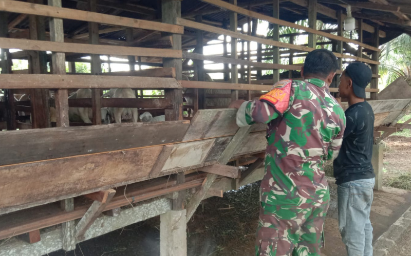 Koramil 03 Giat PMK, Sosialisasi Kesehatan di Peternakan