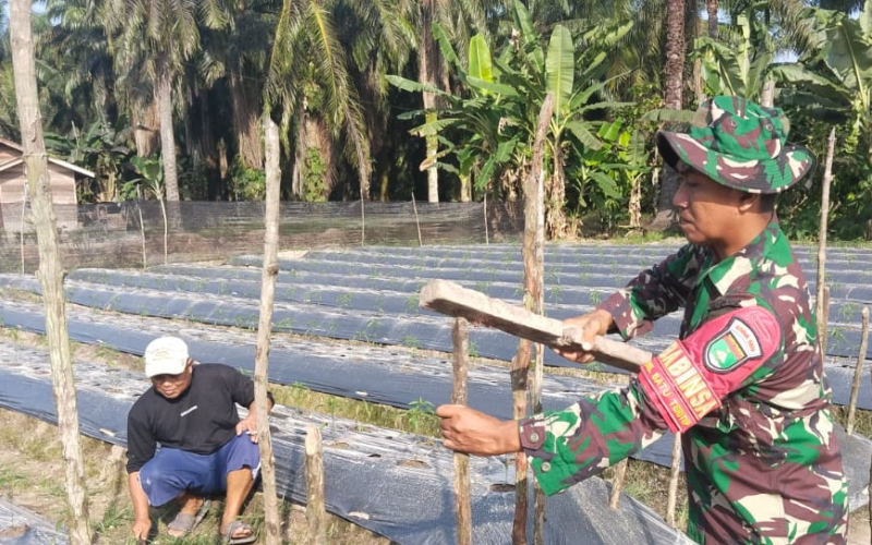 Cegah Karhutla, Babinsa Sei Sembilan Dampingi Warga Pasang Patok di Lahan Pertanian