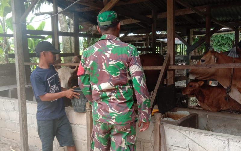 Babinsa Koramil 03 SS Jaga Kebersihan di Peternakan Warga