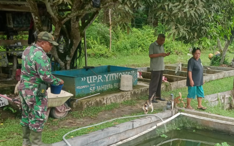 Sertu Sareh Dorong Produktivitas Warga Lewat Budidaya Ikan Kolam