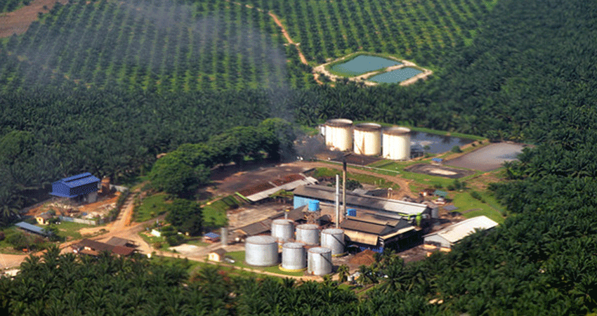 Waduh...! Di Riau Terdapat 437 Perusahaan Perkebunan 'Siluman'