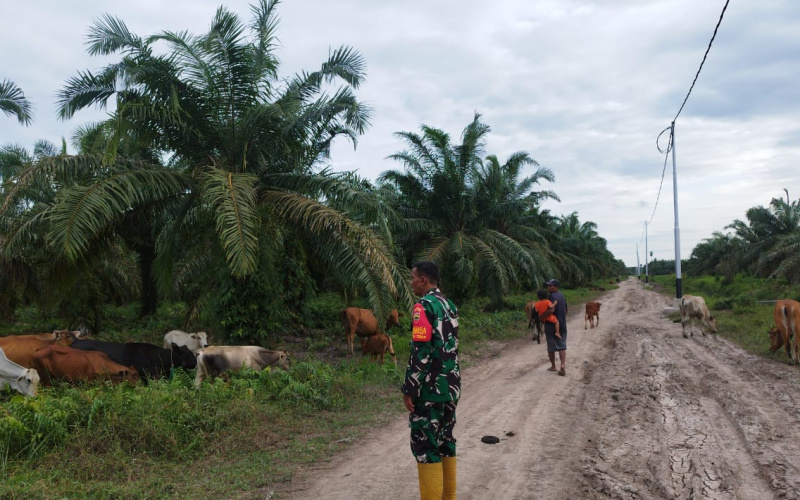 Serda Miftah Tingkatkan Kesadaran Peternakan Soal Kesehatan