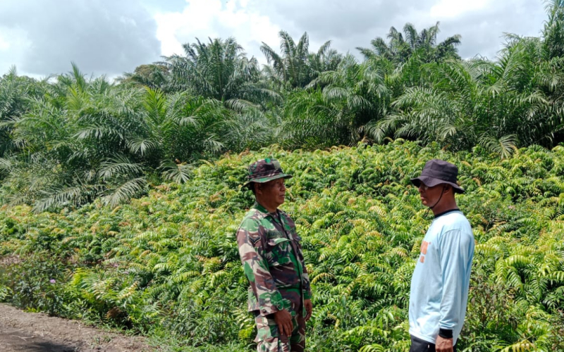 Serda Bambang Irwanto Gelar Patroli Karlahut di Lahan Gambut Lubuk Gaung