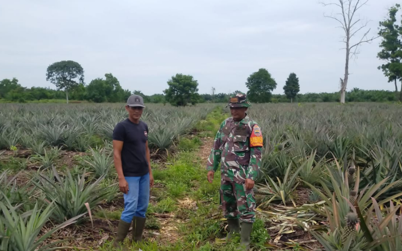 Cegah Karhutla, Babinsa Koramil 03 Sungai Sembilan Ajak Warga Produktif Tanpa Bakar Lahan