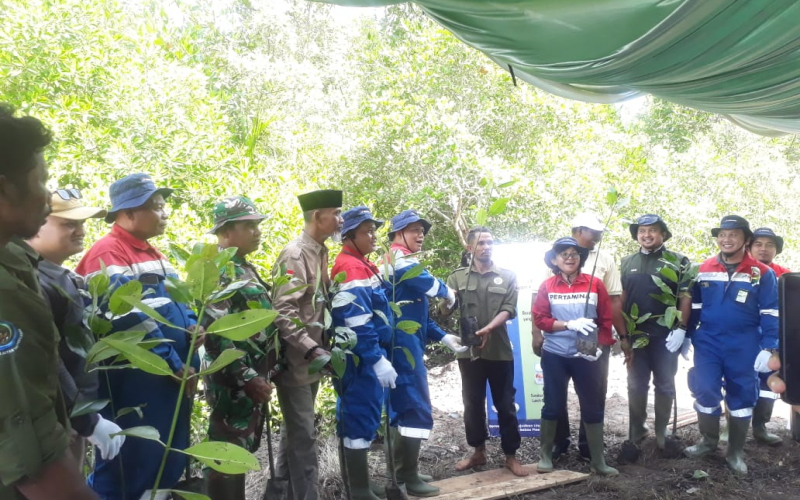 Pertagas Dukung Pelestarian Pesisir Dumai Lewat Penanaman Mangrove Bersama Mastali Madu