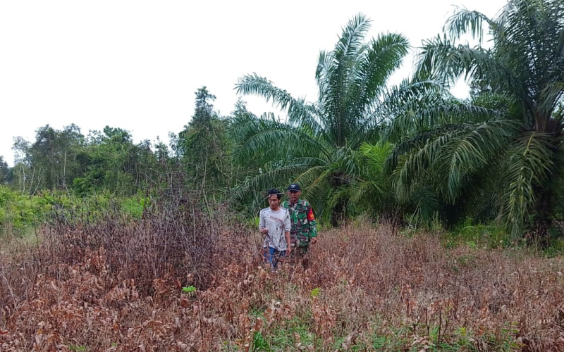 Patroli Babinsa Mundam Wujud Nyata Kepedulian TNI terhadap Kelestarian Lingkungan