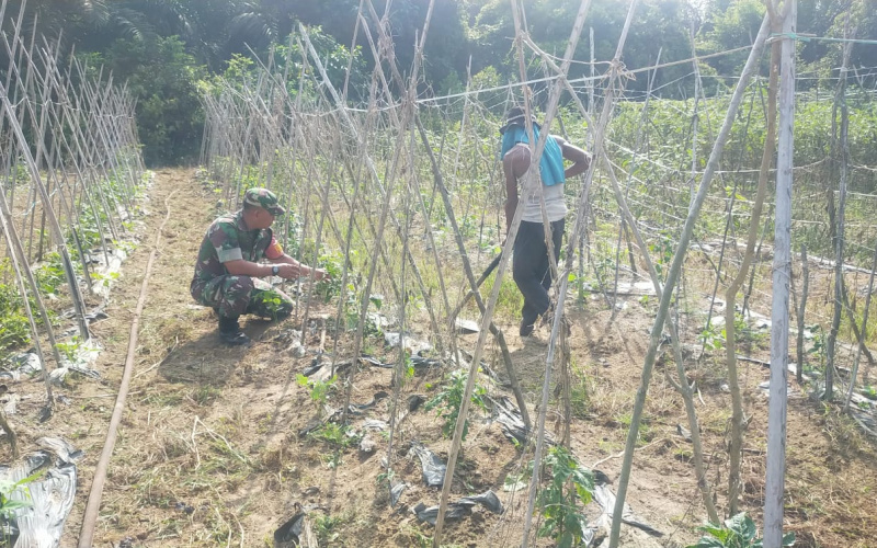 Patroli Karhutla Sekaligus Pendampingan Karya Nyata oleh Koramil 02 Bukit Kapur